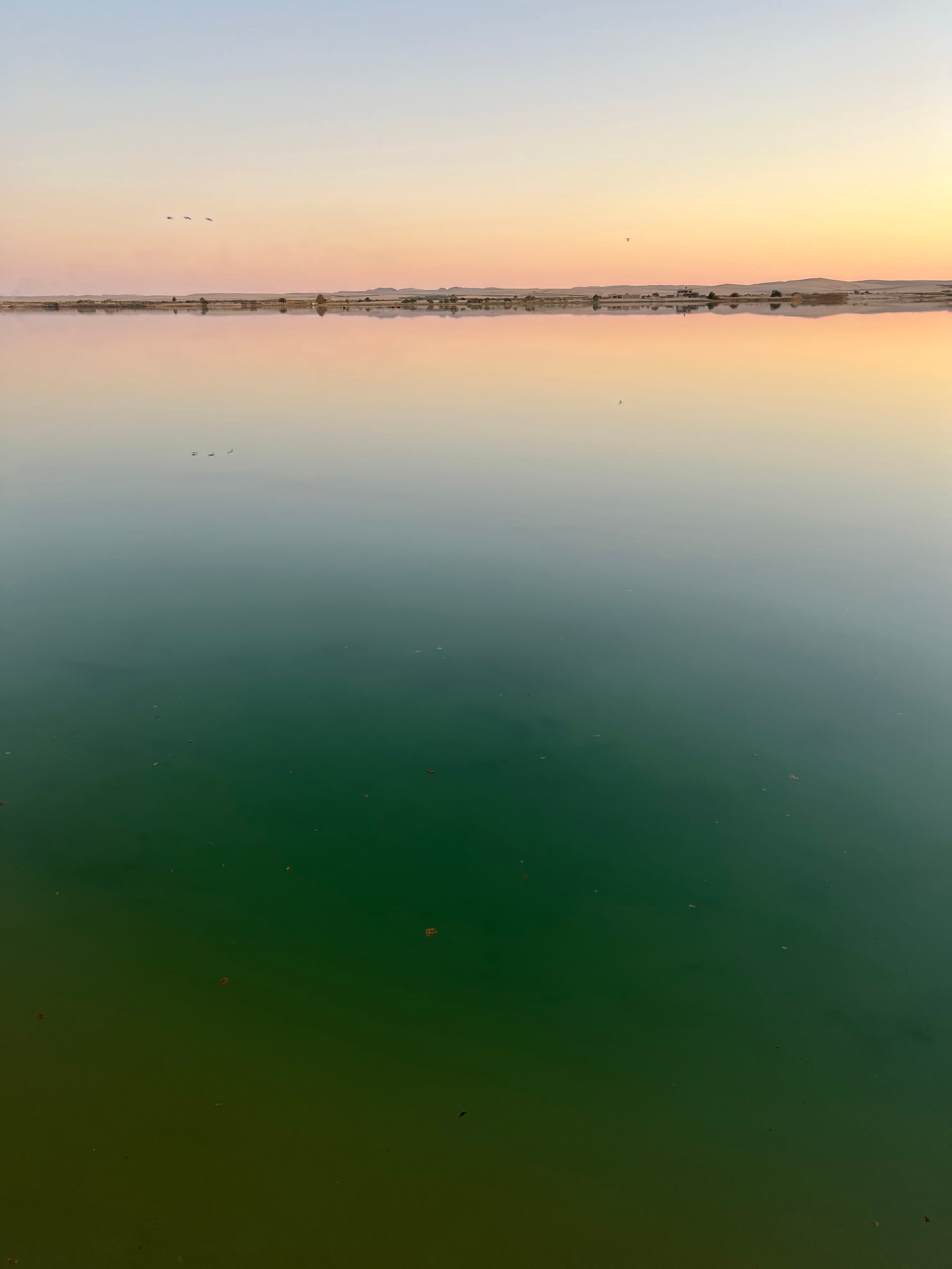 a sunset over green water