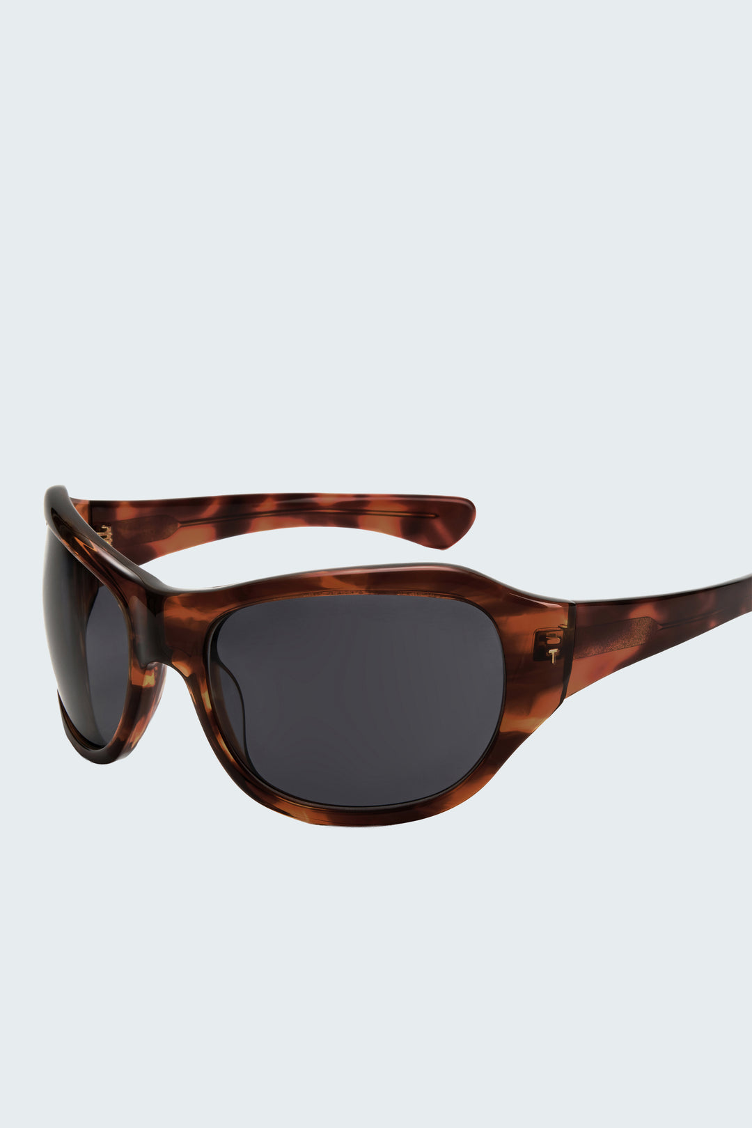 The ATLAS – Dark Tortoise & Black