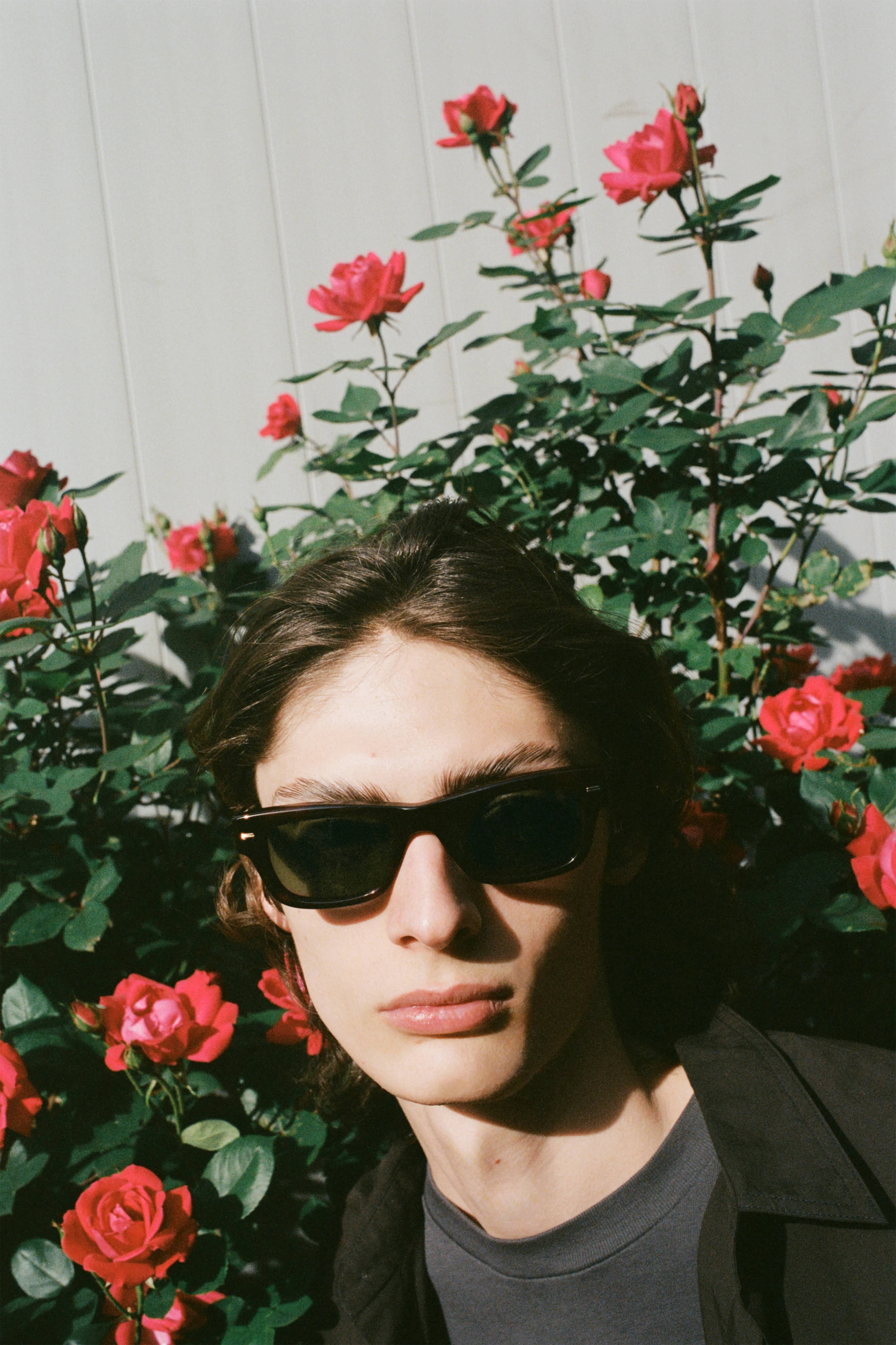 The JACK – Dark Tortoise & Black