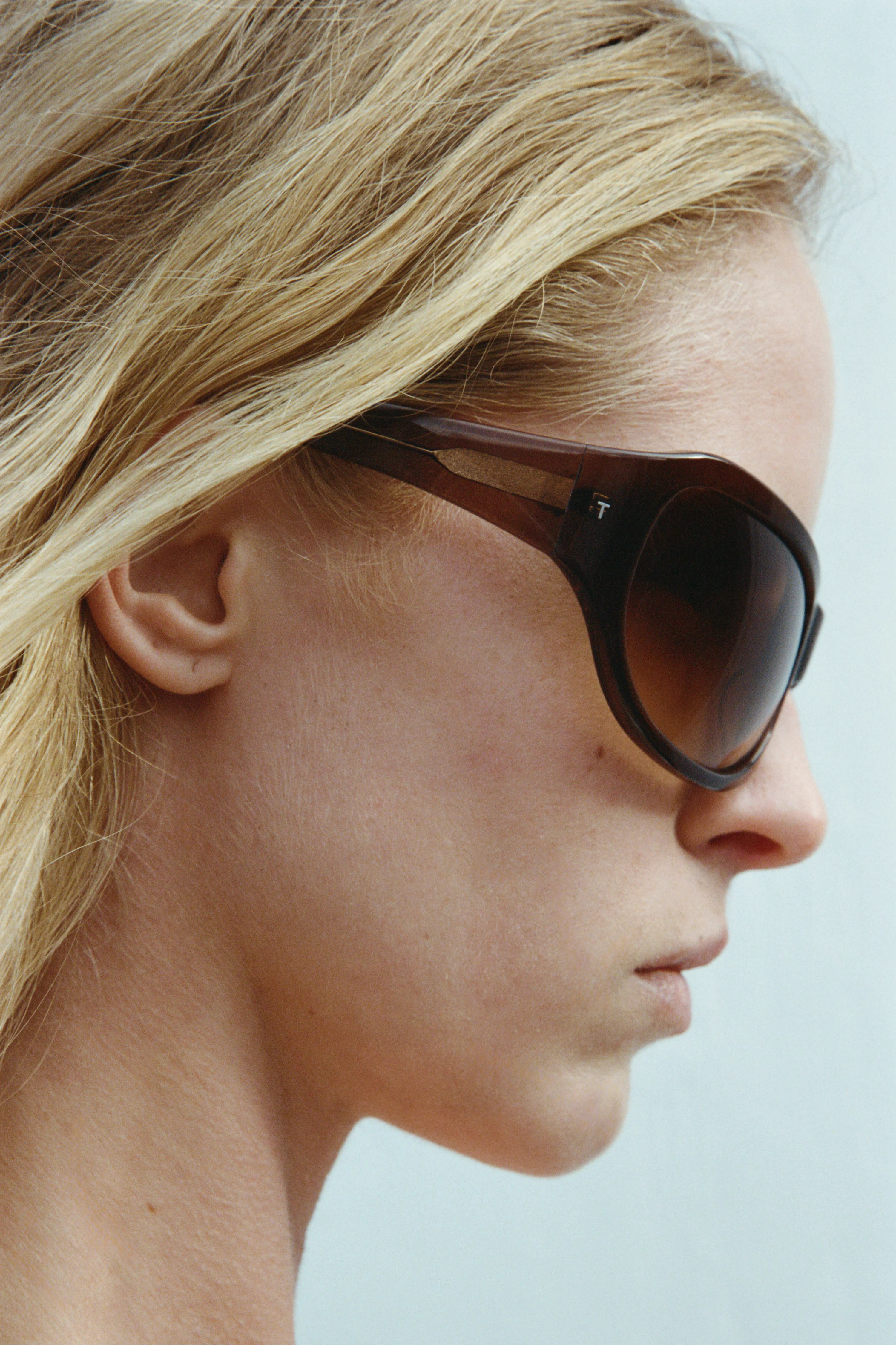 The ATLAS – Dark Tortoise & Black