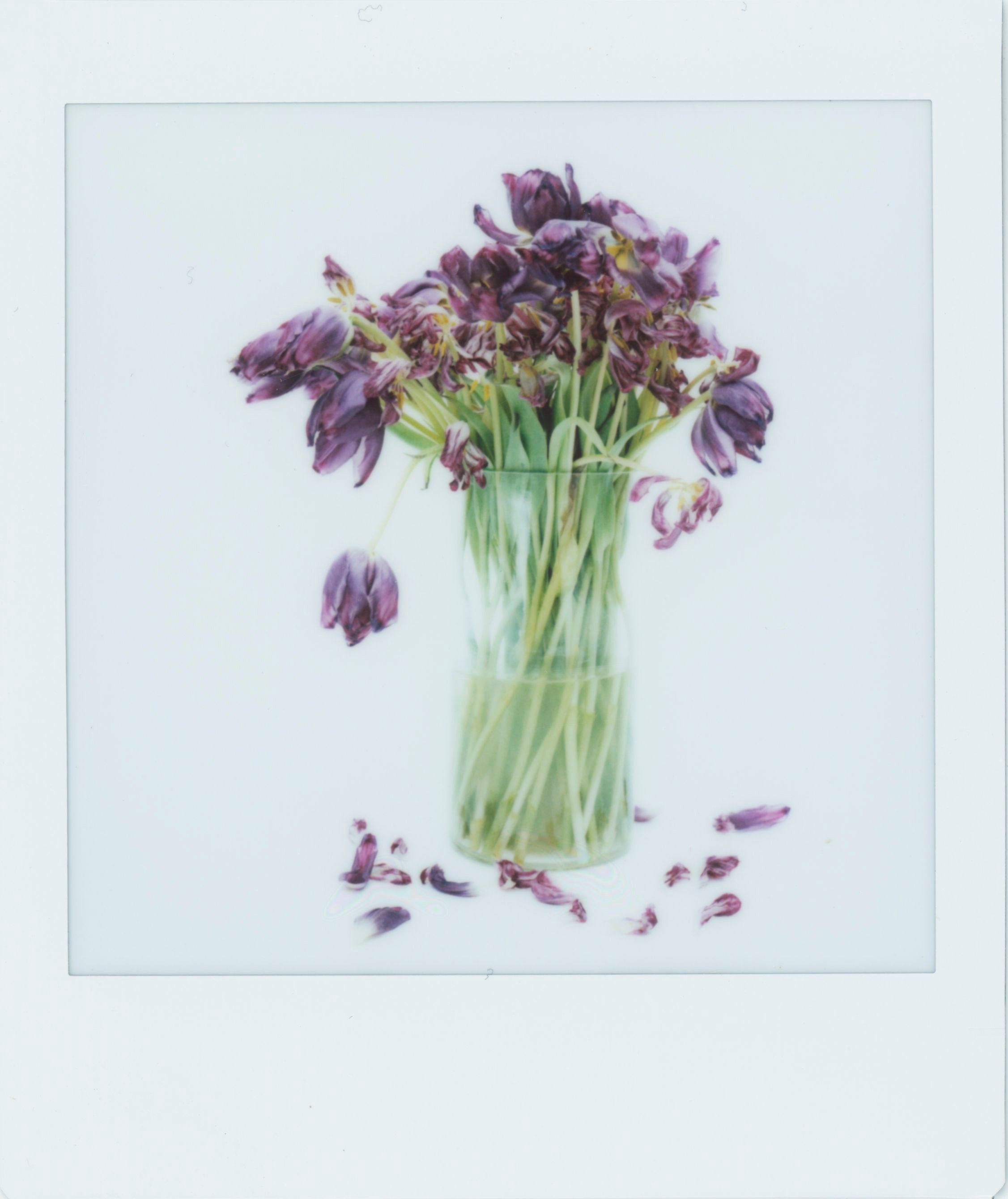printed polaroid of a vase full of purple flowers