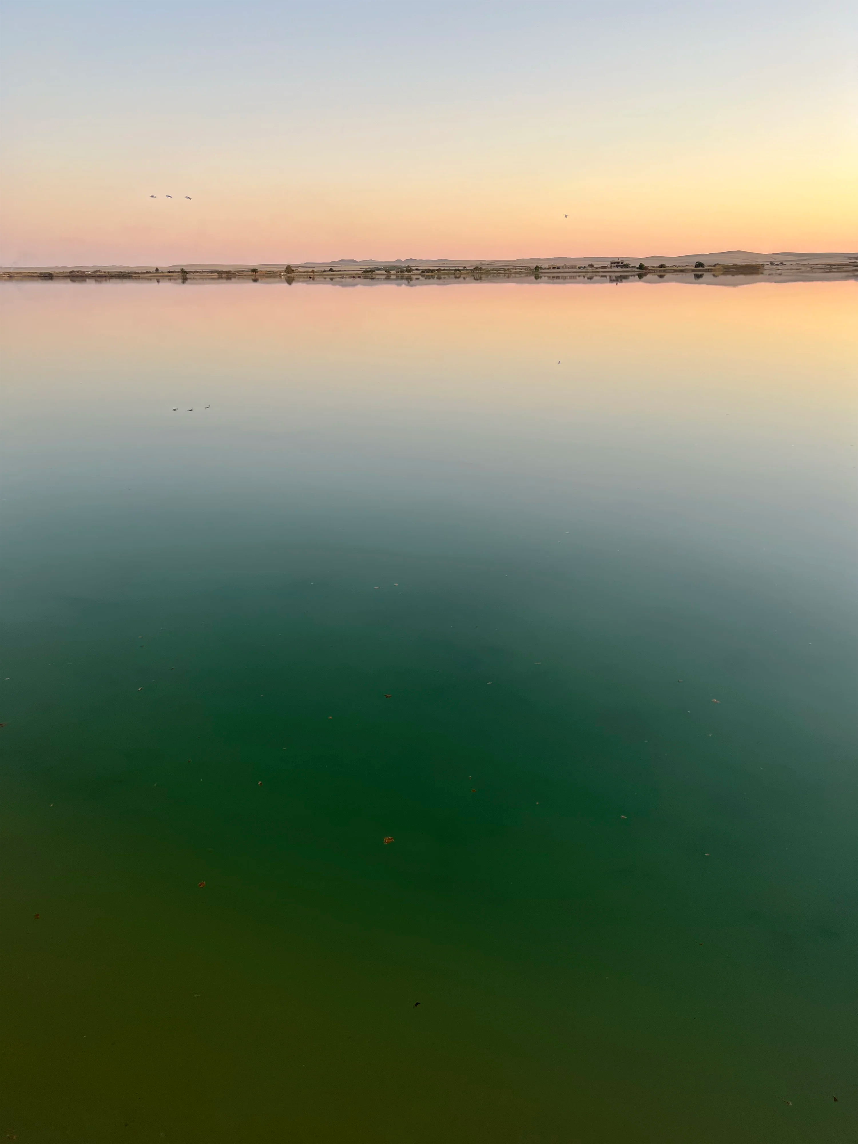 a sunset over green water